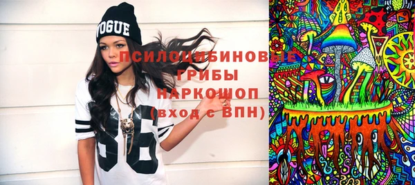 молекула духа Алексин