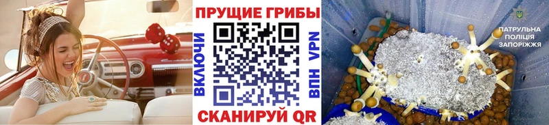 Псилоцибиновые грибы GOLDEN TEACHER Череповец