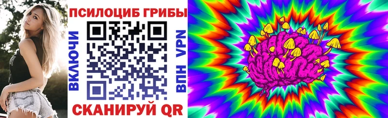 Псилоцибиновые грибы Cubensis  цены наркотик  Череповец 